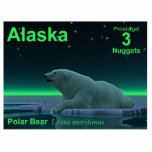 Magnet Photo Sculpture Ours polaire à bordure de glace - Postage en Alask<br><div class="desc">Un autre dans la série de timbres-poste pour un Alaska indépendant. Un moment de paix dans la longue nuit arctique. Un Ours polaire repose au bord d'une zone ouverte dans la glace de la meute. Les aurores boréales brillent au loin ; les étoiles brillantes scintillent au-dessus. Le texte "Alaska", "Postage...</div>