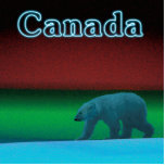 Magnet Photo Sculpture Ours polaire - Canada<br><div class="desc">Un ours polaire arpente la glace pendant la longue nuit polaire; les aurores boréales en rouge et vert au loin. Le texte "Canada" apparaît en bleu brillant. Les ours polaires sont en danger. Combien de temps encore des scènes comme celle-ci pourront-elles se produire ? S'il vous plaît aidez à sauver...</div>