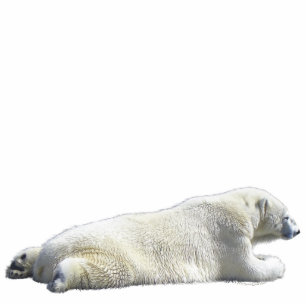 Magnet Photo Sculpture OURS POLAIRE (sculpté) Aimant de la faune