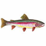 Magnet Photo Sculpture Pêche à la truite<br><div class="desc">.</div>