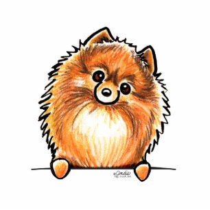 Magnet Photo Sculpture Poméranie Rouge : Monter les pattes