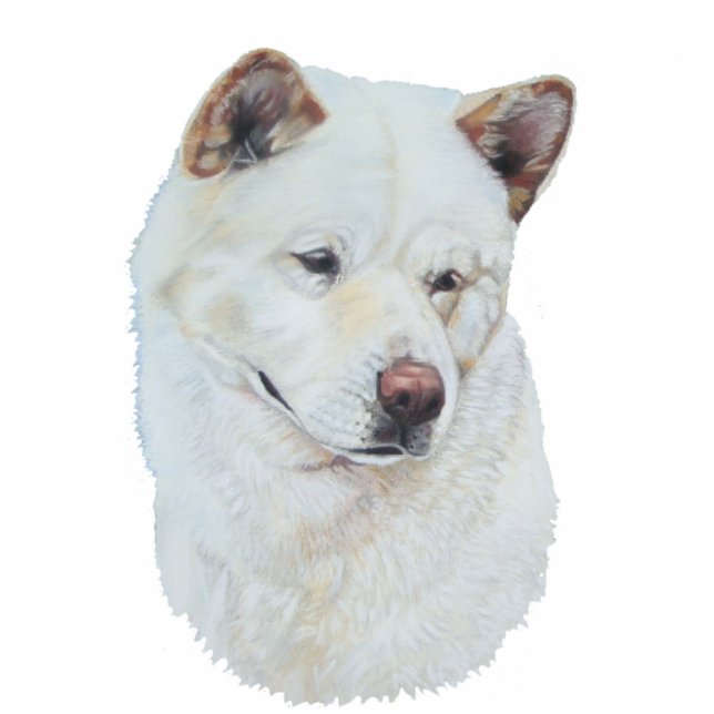 Magnet Photo Sculpture portrait de animal de compagnie peinture blanc aki (Devant)