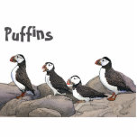 Magnet Photo Sculpture Puffins de l'Atlantique<br><div class="desc">Des macareux se reposent sur les rochers. Lecture de texte personnalisable, "Puffins" apparaît également. Le Puffin Atlantique (Fratercula arctica) se nourrit principalement de plongée dans l'eau. Ils se reproduisent dans de grandes colonies sur des falaises côtières ou des îles au large de l'Atlantique Nord. Après la saison de reproduction, les...</div>