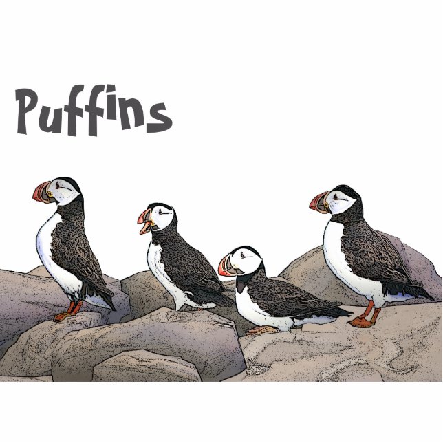 Magnet Photo Sculpture Puffins de l'Atlantique (Devant)