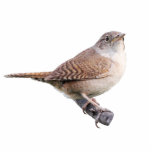 Magnet Photo Sculpture Roitelet de Chambre<br><div class="desc">Une image d'un roitelet de Chambre</div>