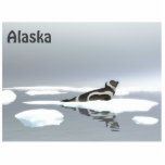 Magnet Photo Sculpture Sceau De Ruban Sur Glace<br><div class="desc">Un tableau numérique d'un phoque à ruban brun et blanc posé sur une banquise de glace, par un jour très gris et triste. Le texte personnalisable "Alaska" apparaît également. Le Phoque de Ruban (Histriophoca fasciata) est un pinnipède de taille moyenne de la vraie famille de phoques (Phocidae). Ils sont parmi...</div>