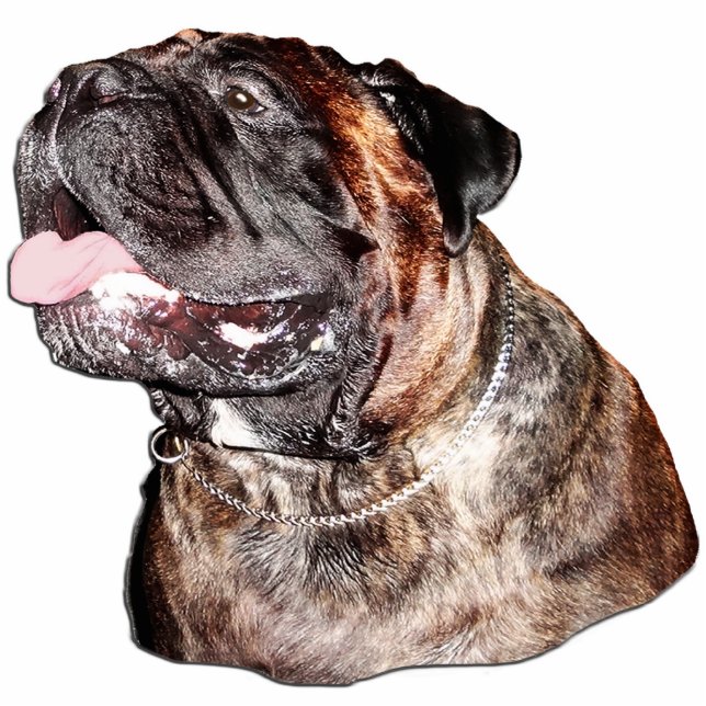 Magnet Photo Sculpture Sculpture customisée en aimant de Bullmastiff (Devant)