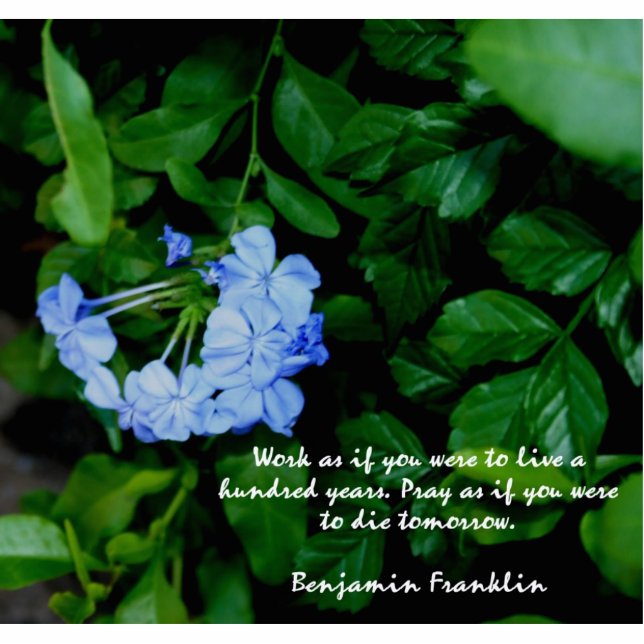 Magnet Photo Sculpture SCULPTURE DE PHOTO FLEURIE BLEUE MAGNET 2x3 (Devant)