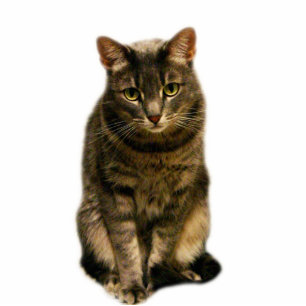 Magnet Photo Sculpture SebastiAn