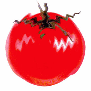Magnet Photo Sculpture Tomate chaude rouge