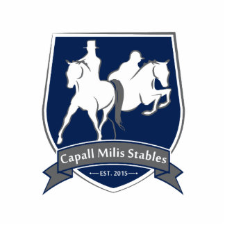 Magnet Photo Sculpture Votre coutume 5"" sculpture en photo x7