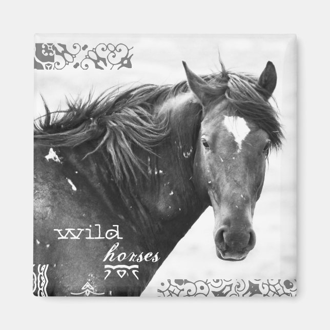 Magnet photo Wild Horse Southwest (Devant)