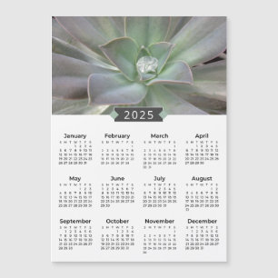 Magnet photographique 2025 Calendrier Succulent