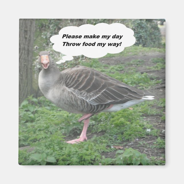 Magnet Poem Duck Citation Ladite Basset (Devant)