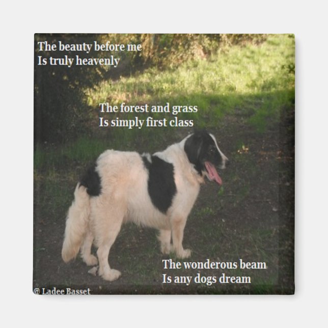 Magnet Poem N'Importe Quel Chien Rêver Ladee Basse (Devant)