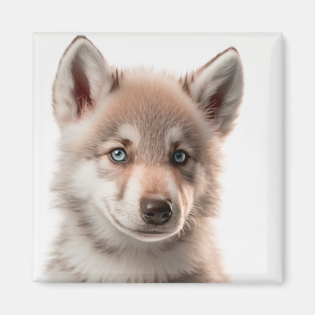 Magnet Portrait de loup de bébé mignon | Collectab (Devant)