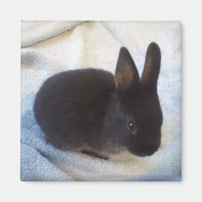 Magnet pour bébé - Petit Magoo (Devant)