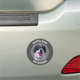 Stickers Magnets Pour Voiture Chat Zazzle Fr