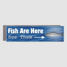 Les Poissons Sont Là...