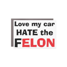 Love My Car Hate The FELON Anti-Elon Tesla