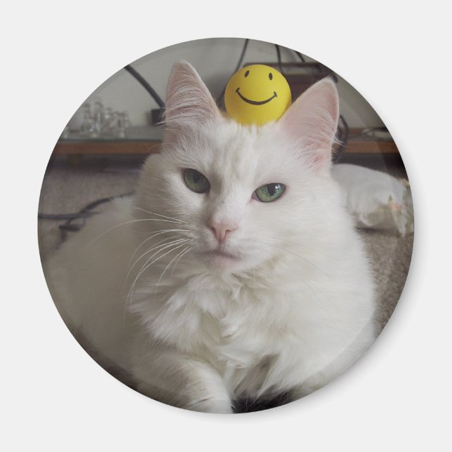 Magnet "Purrl" (Devant)