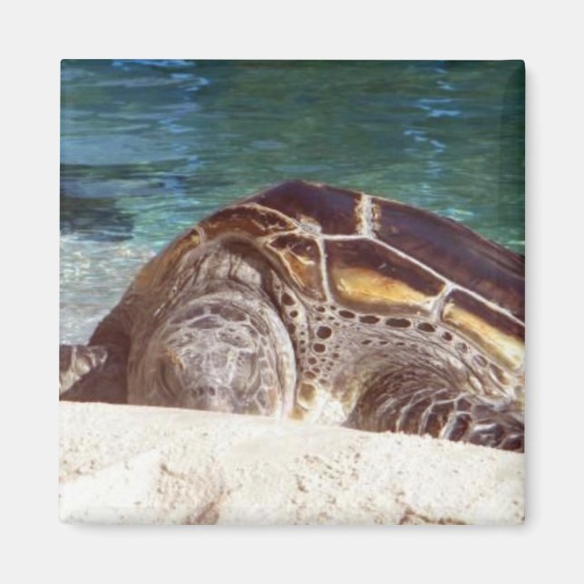Magnet Réfrigérateur Art Tortue de Mer (Devant)