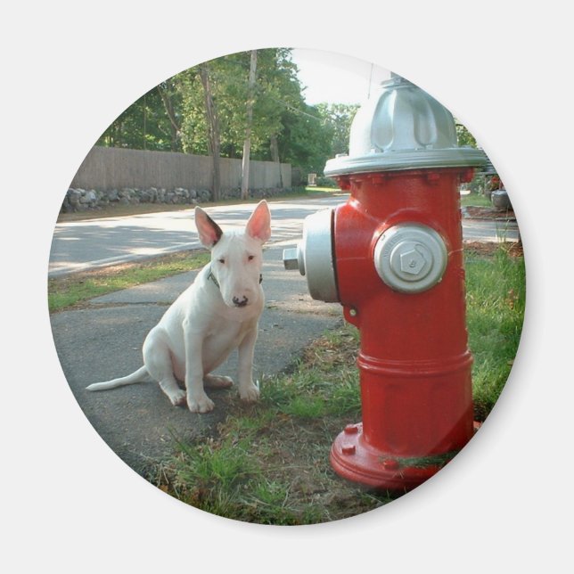 Magnet rond (Devant)
