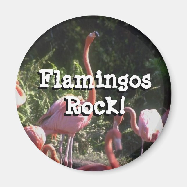 Magnet rond (Devant)