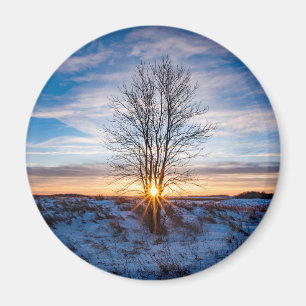 Magnet rond