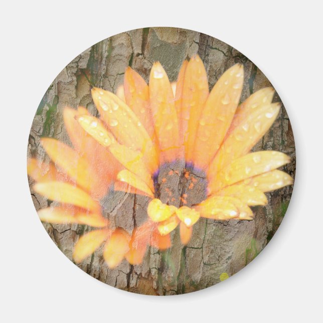 Magnet Rond Fleur Jaune – Photographie de Nature (Devant)