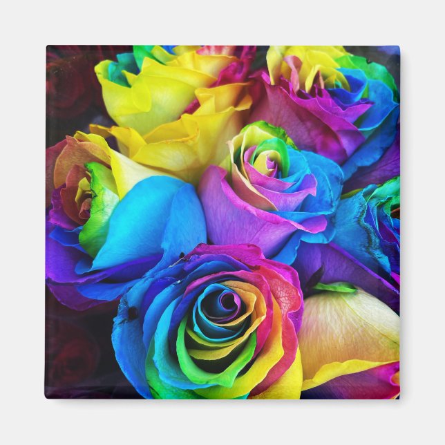Magnet Rose arc-en-ciel (Devant)