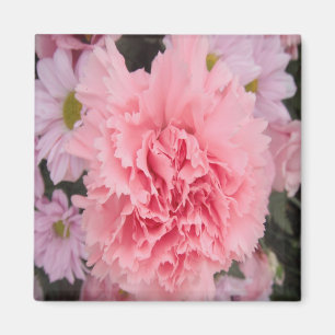 Magnet rose beauté de l'oeillet