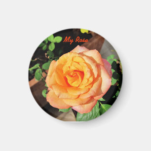 Magnet Rose orange