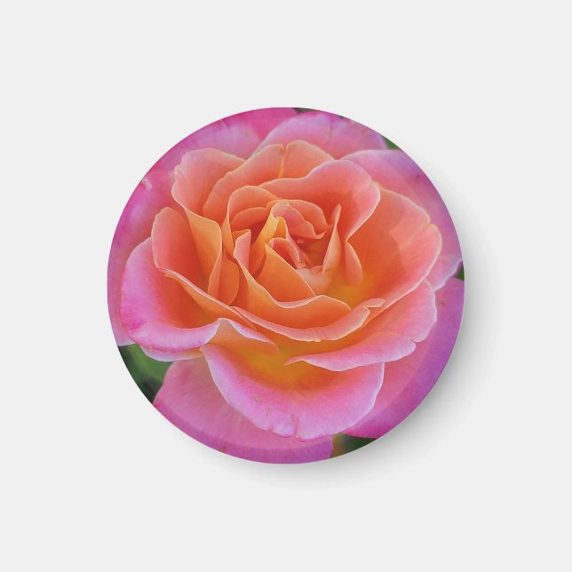 Magnet Rose rose et orange (Devant)
