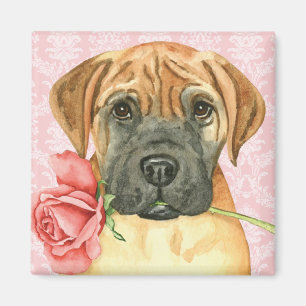 Magnet Rose Valentine Bullmastiff