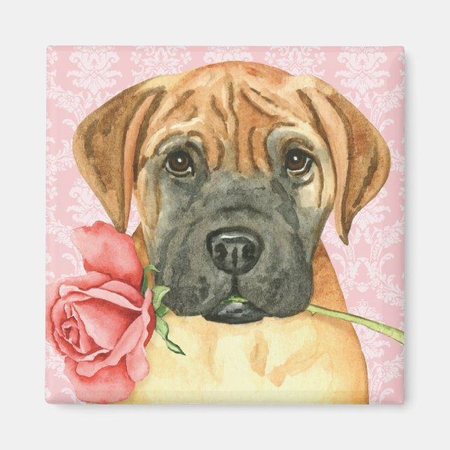 Magnet Rose Valentine Bullmastiff (Devant)