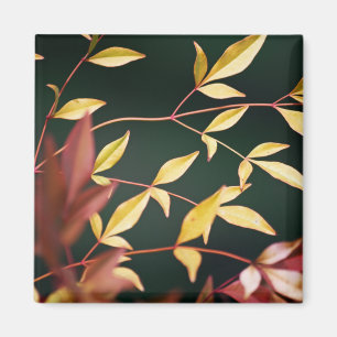 Magnet rouge et or