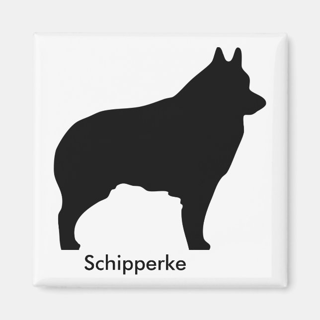 Magnet Schipperke (Devant)