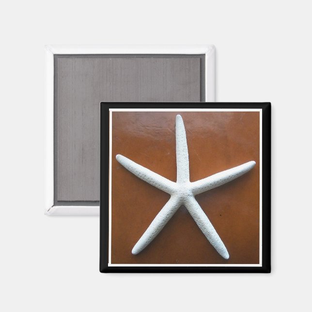 Magnet Sea Star (Recto/Verso)