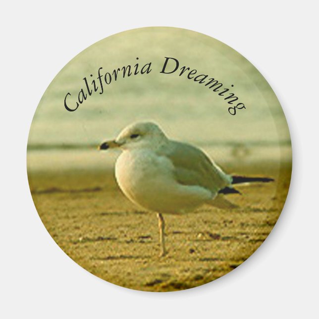 Magnet - Seagull Dream (Devant)