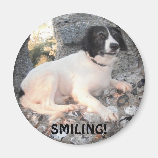 Magnet Sprollie Vente Château Souriant (Devant)