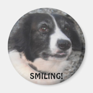 Magnet Sprollie Vente Château Souriant