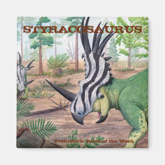 Magnet Styracosaurus