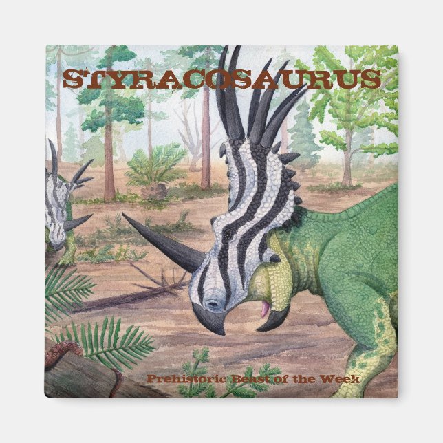 Magnet Styracosaurus (Devant)