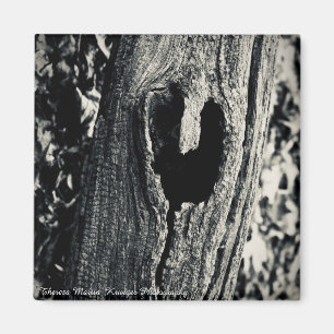 Magnet "Suivez votre coeur"