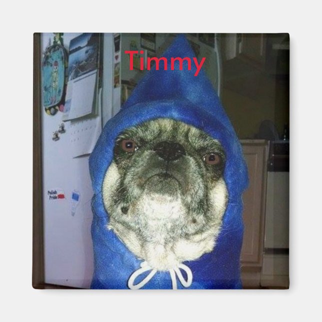 Magnet Sweat - shirt à capuche Timmy (Devant)