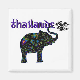 Magnet thailande 2