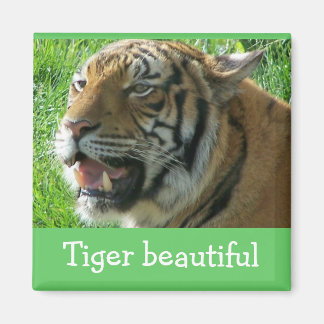 Magnet Tiger beau