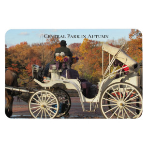 Magnet — Transport dans NYC Central Park
