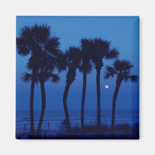 Magnet tropical de lune de palmier de Daytona